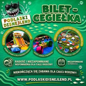 Bilet cegiełka na #PodlaskiDisnejlend